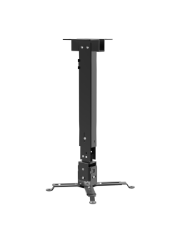 appSV01